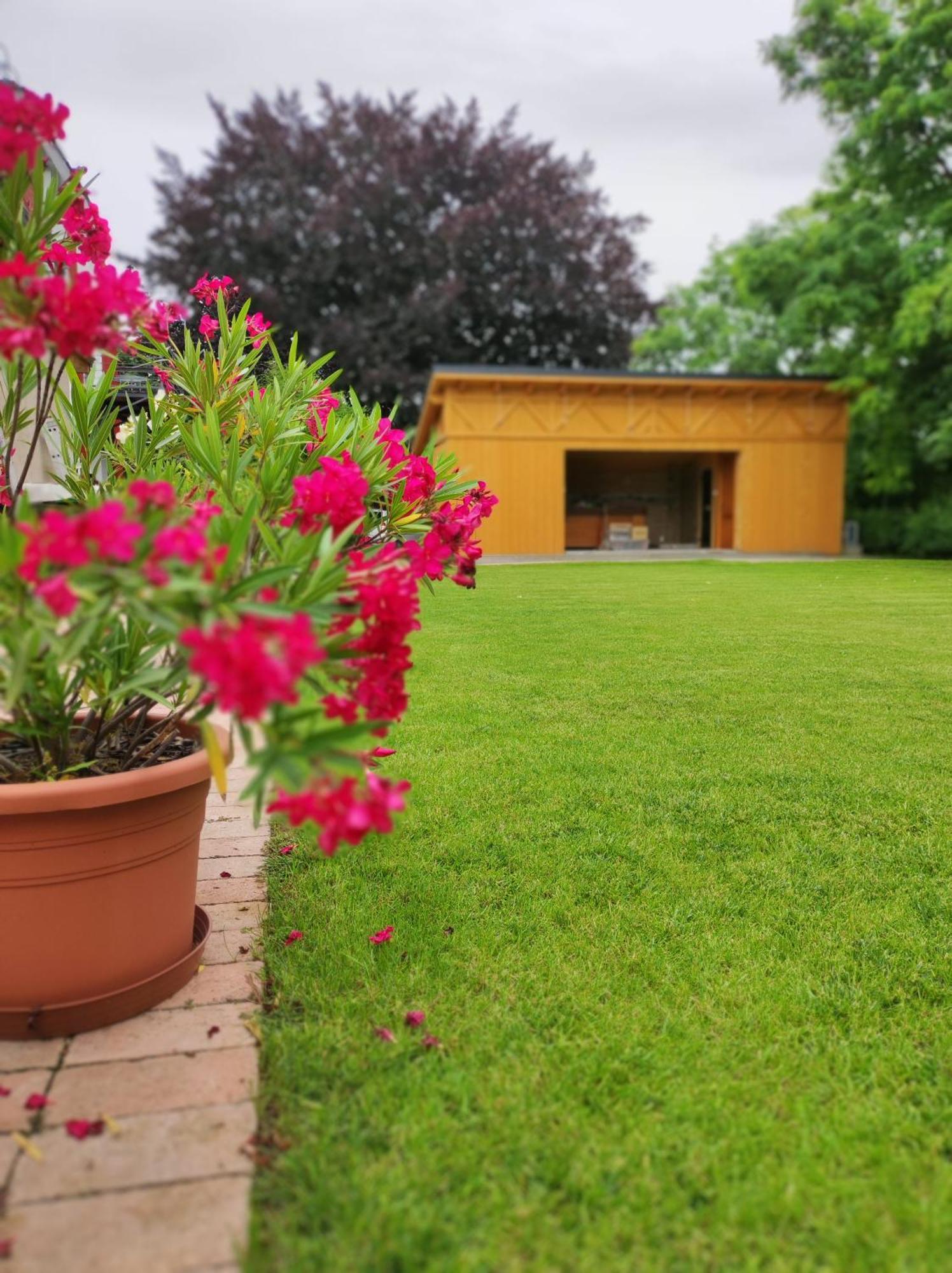 Apartamento Zamardi Trafohaz Exterior foto